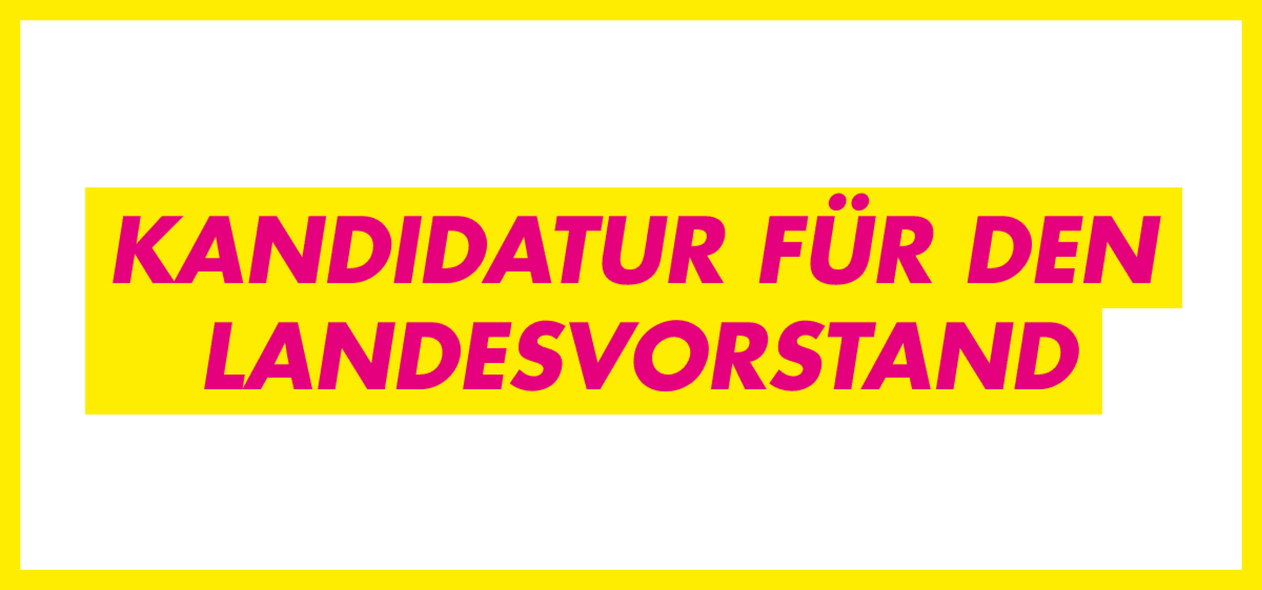 Kandidatur für den Landesvorstand